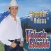 Valentín Elizalde - Tu Mirada, Tu Pelo, y Tu Boca(La Playa)