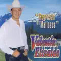 Hola y Adios