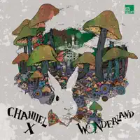 My 3 Wishes (Nico Stojan Remix) — Channel X