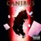 Doj (Remix) [feat. Flawless the MC & Lms] - Canibus lyrics