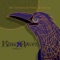Black Arrows - Jeff Johnson & Brian Dunning lyrics