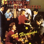 The Flamingos - Besame Mucho