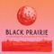 Taraf - Black Prairie lyrics