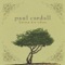 April Skies - Paul Cardall lyrics