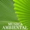 Madeline, Musica Calma para la Respiración - Musica Ambiental Clube lyrics