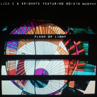 Flash of Light (Radio Edit) [feat. Roisin Murphy] - Single - Luca C & Brigante