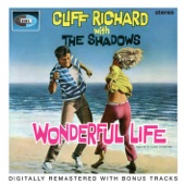 Wonderful Life (Soundtrack) [2005 Remaster] artwork