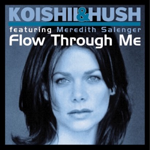 Flow Through Me (feat. Meredith Salenger)