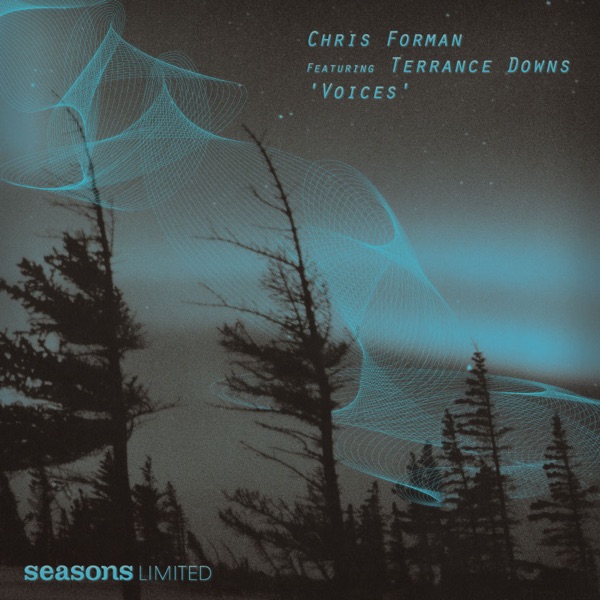 Voices (feat. Terrance Downs) [Remixes] - EP