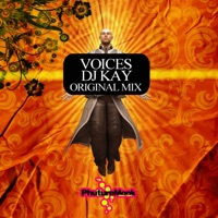 Voices - Single - DJ Kay