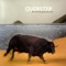 Private Party - Overstep lyrics