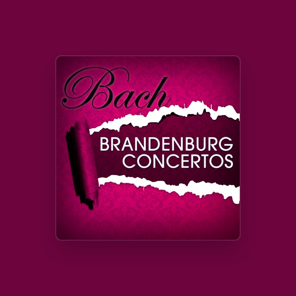 Berlin Chamber Orchestra's avatar