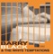 My Favourite Year - Barry Black & The White Temptations lyrics