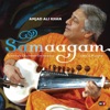 David Basant Basant Samaagam