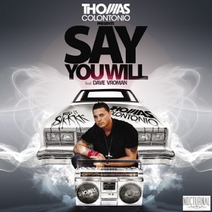 Say You Will (feat. Dave Vroman) - Single