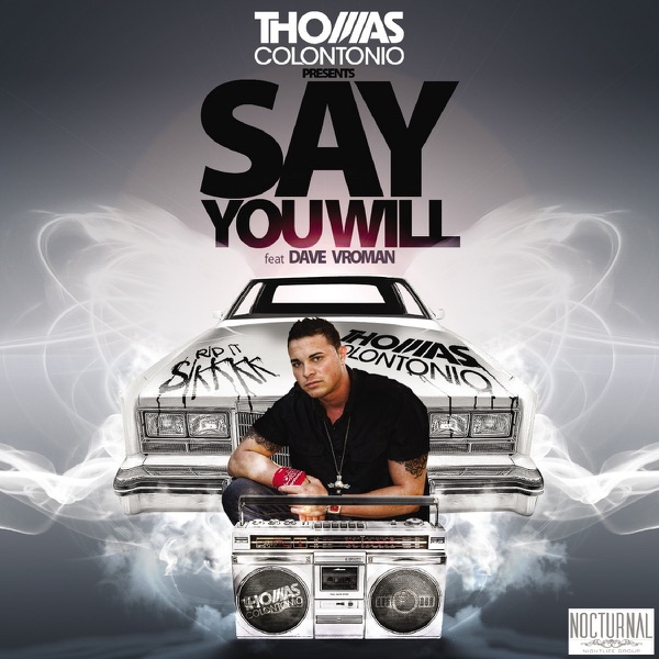 Say You Will (feat. Dave Vroman) - Single