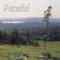 Go With the Wind - Parsifal lyrics