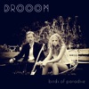 Drooom