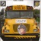 School Bus Driver artwork