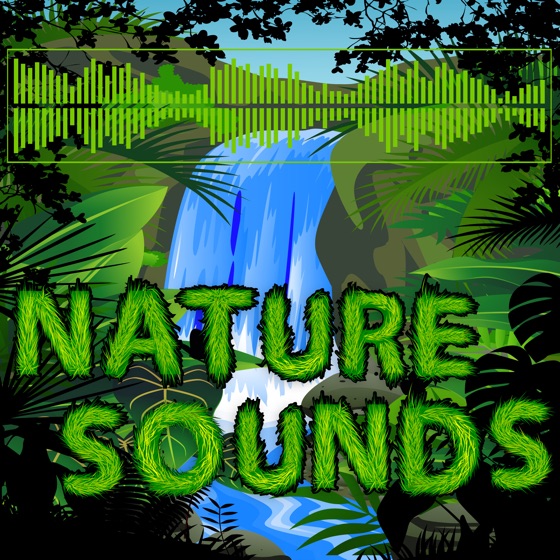 Cover artwork for Crackling Fire and Forest Sounds