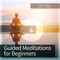 Introduction to Metta Meditation - Guided Meditation lyrics