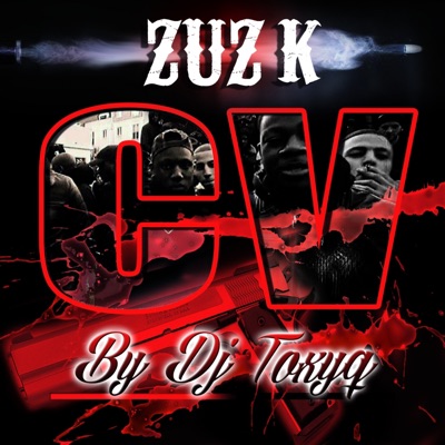 Zuz k - Médailles de bronze