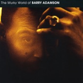Barry Adamson - The Vibes Ain't Nothin' But The Vibes