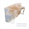Casual - Andrew Shapiro lyrics