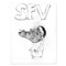 8th Grade Trauma - SFV Acid lyrics