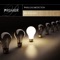 See the Light (DJ Danila Remix) - Fabulous Addiction lyrics