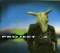 The Third Man - Project Z lyrics
