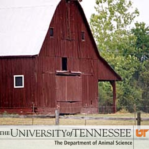 Animal Science - TN Cattle Lane cover