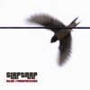 Slaptrap - Neprilagodjen