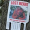 Lost Heart - Shoe. lyrics
