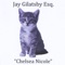 Chelsea, Pt. 1 - Jay Gillatsby Esq. lyrics