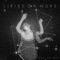 Impossible Child - Lilies On Mars lyrics