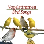 Vogelstimmen 1