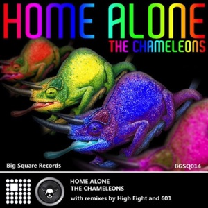 The Chameleons - Single
