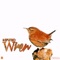 Wren - Fatso lyrics