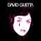 Love Don't Let Me Go (Main Mix) - David Guetta, Chris Willis & Joachim Garraud lyrics