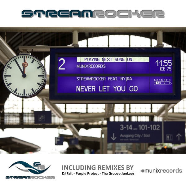 Never Let You Go (Remixes) [feat. Nyjra]