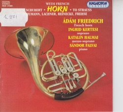 Ádám Friedrich - Johann Strauss II.: DOLCI PIANTI (Andante)
