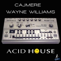 Acid House - Single - Cajmere & Wayne Williams