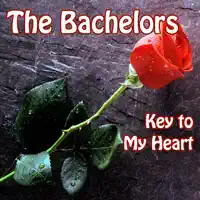 Hello Dolly — Bachelors