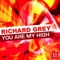 You Are My High (David Jones Remix Edit) - Richard Grey lyrics