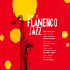Best of Flamenco Jazz, Vol. 1 - Varios Artistas