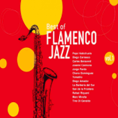 Best of Flamenco Jazz, Vol. 1 - Various Artists