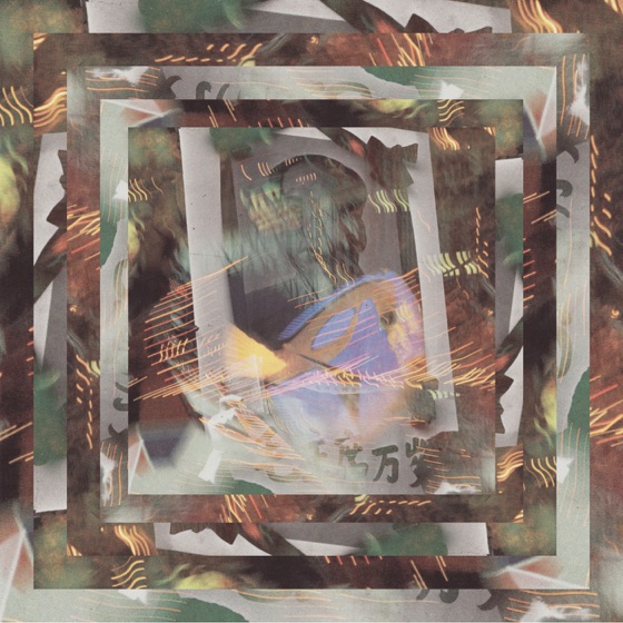 Cover artwork for Fester
