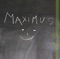 Maximus - Love supercat Mindy