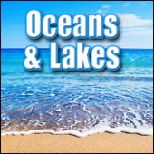 Water, Ocean - Large Group of Seagulls, Light Ocean Waves Lapping, Seashore, Surf Ocean, Surf & Waves artwork